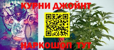 стаф Дмитров