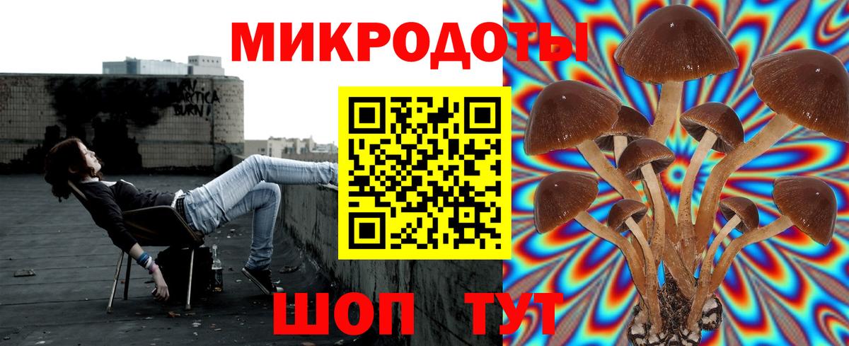 Екатеринбург  Псилоцибиновые грибы мухоморы  Вход с VPN 